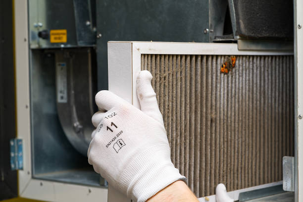 Best Dryer Vent Cleaning Services  in Woodville, FL