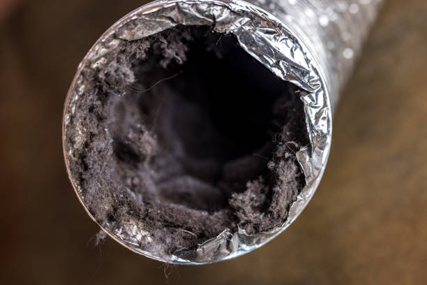 Best Ductwork Cleaning Services  in Woodville, FL