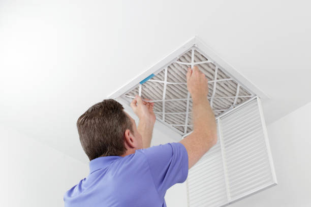 Best Air Vent Cleaning Services  in Woodville, FL